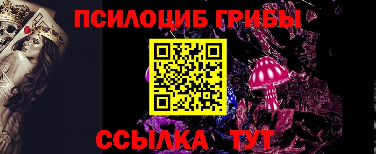 цена наркотик  Вход с VPN  Псилоцибиновые грибы Psilocybe  Дзержинск  Псилоцибиновые грибы GOLDEN TEACHER 