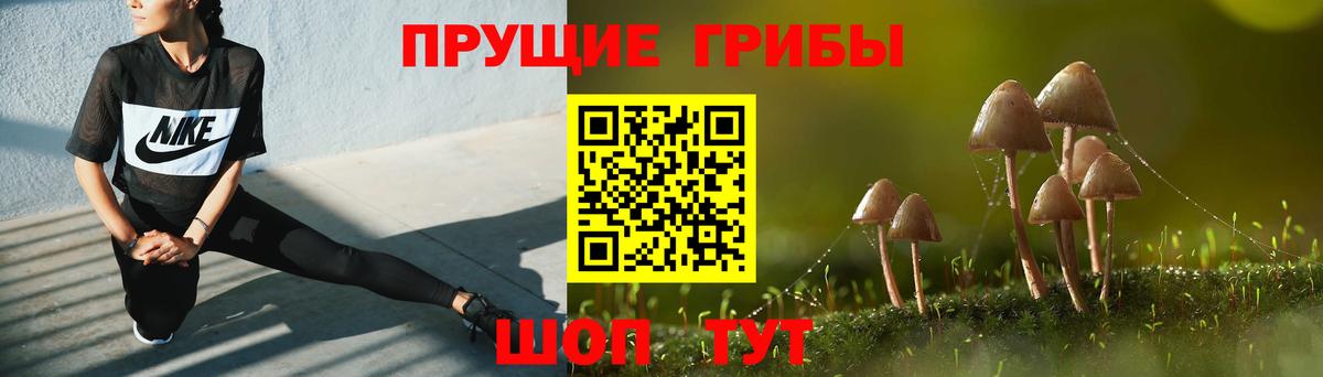 Псилоцибиновые грибы GOLDEN TEACHER Дзержинск